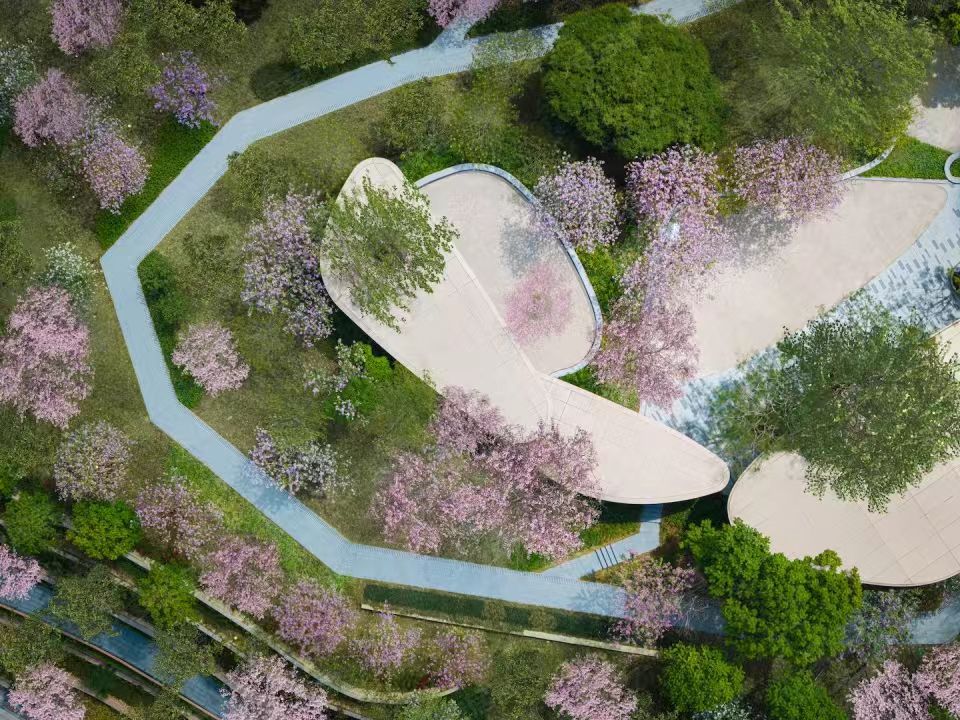 实景图