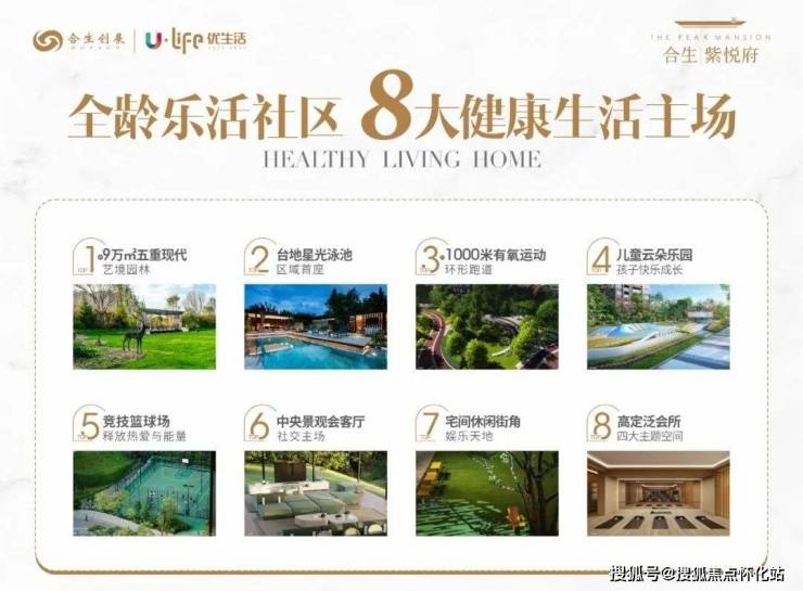 合生紫悦府(图3)